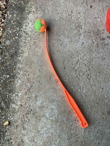 Photo of free Ball thrower (North Walsham NR28) #1