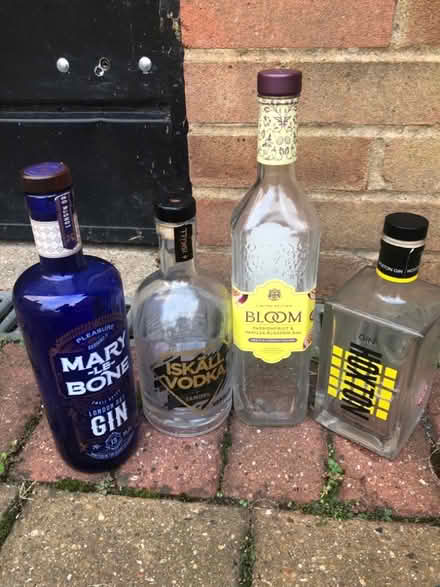 Photo of free Fancy empty gin bottles (Whitehill SG4) #2