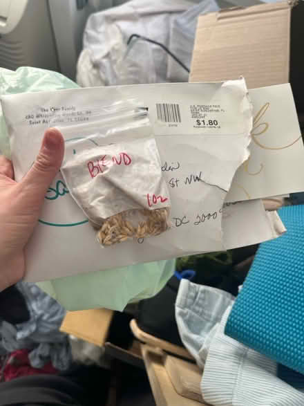 Photo of free Seeds (Woodley Park) #1