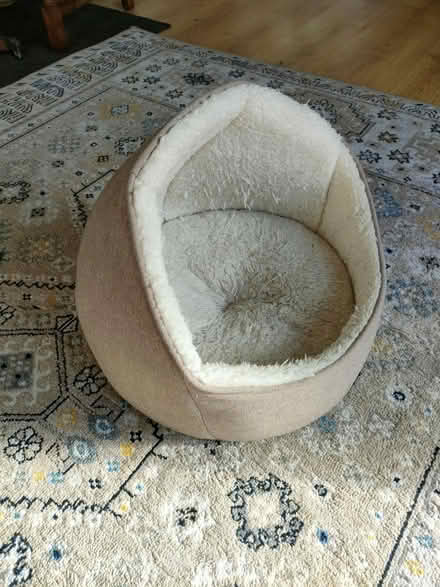 Photo of free Cat bed (PO19) #1