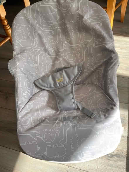 Photo of free Baby bouncer (CV8) #1