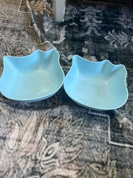 Photo of free Two light blue cat bowls (RG2 Shinfield) #1
