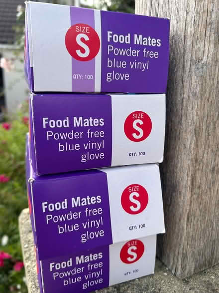 Photo of free Vinyl Gloves: 4 boxes, Small (Long Sutton, Nr Langport) #2