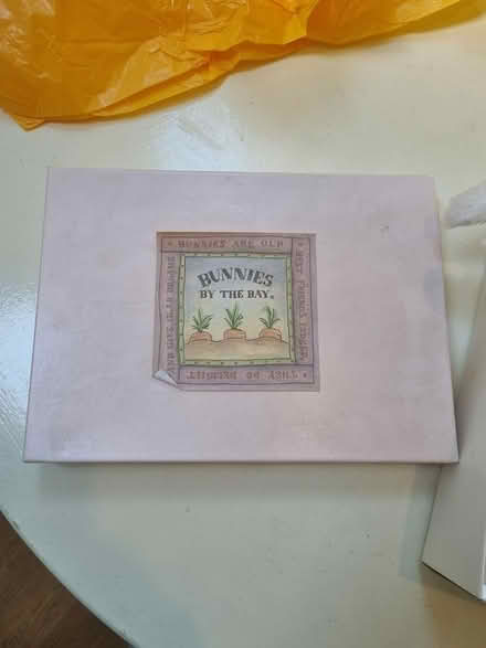 Photo of free Gorgeous bunny, never cuddled (East Molesey KT8) #2