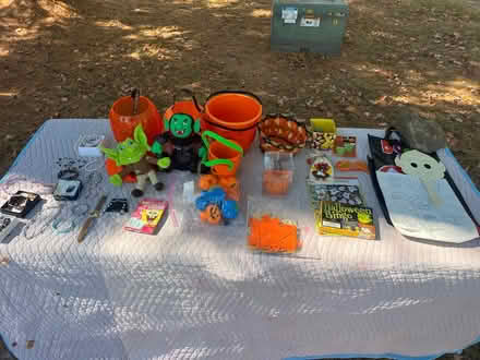 Photo of free Halloween decor costume jewelry (Clinton NJ) #1