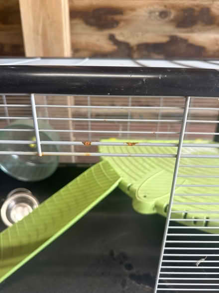 Photo of free Hamster cage (TN23) #4