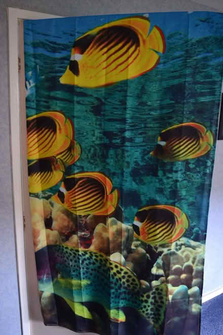 Photo of free Shower curtain rail with curtain and hooks (Glenrothes KY7) #3