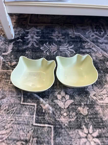 Photo of free Two green cat bowls (RG2 Shinfield) #1