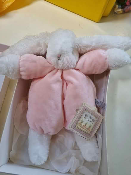 Photo of free Gorgeous bunny, never cuddled (East Molesey KT8) #1