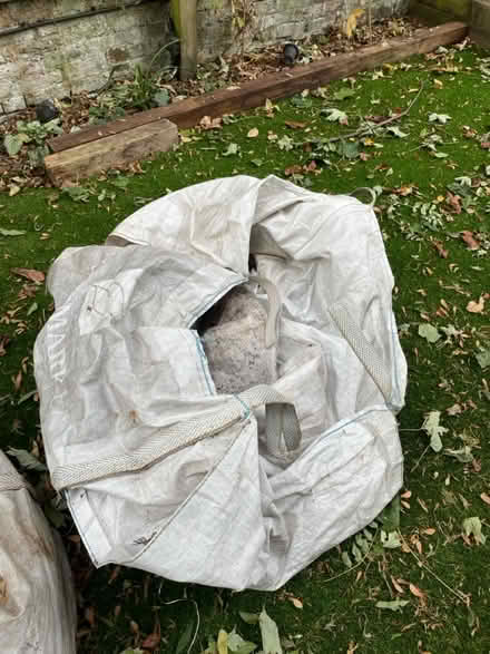 Photo of free Large Leaf Bags (Brockley SE4) #1