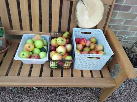 Photo of free Apples, cookers (Heage DE56) #1