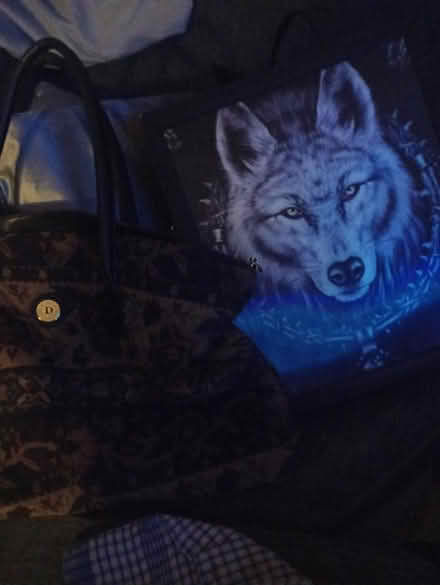 Photo of free Bag's (Cr4) #1