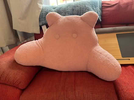 Photo of free Reading pillow (Selly Oak B29) #1