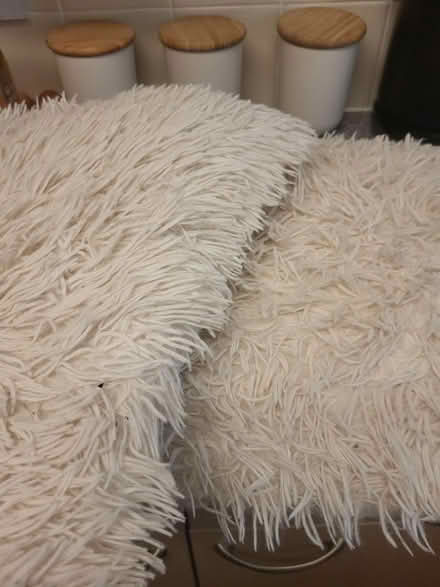 Photo of free Cushions (Fulwood PR2) #1