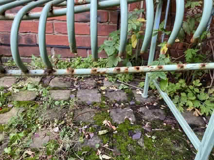 Photo of free Garden Bench (Ashton Hayes CH3) #2