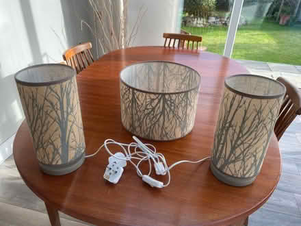 Photo of free Light shade and two table lanps (Sockbridge CA10) #1