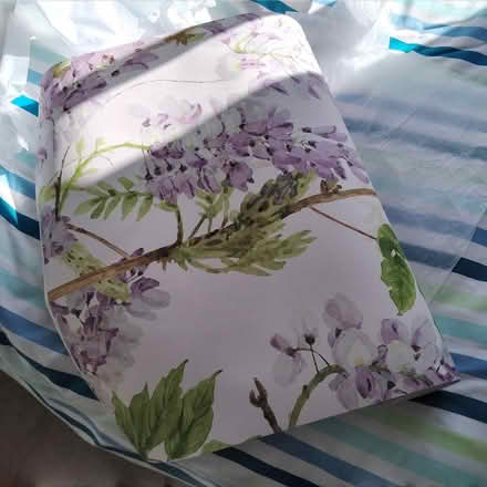 Photo of free Mural roll (Poundbury DT1) #2