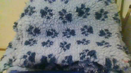Photo of free winter animal fleece (BA2) #1