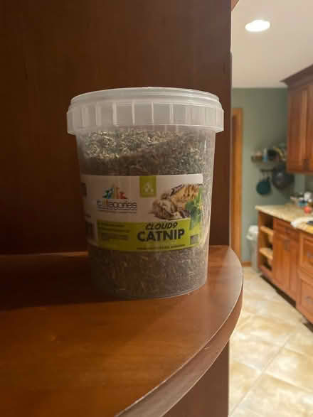 Photo of free Catnip (Arlington Heights, IL) #1