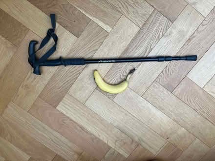 Photo of free Hiking walking pole adjustable (Teddington TW11) #1