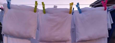 Photo of free Three 40x40 cushions (Stopsley LU2) #1