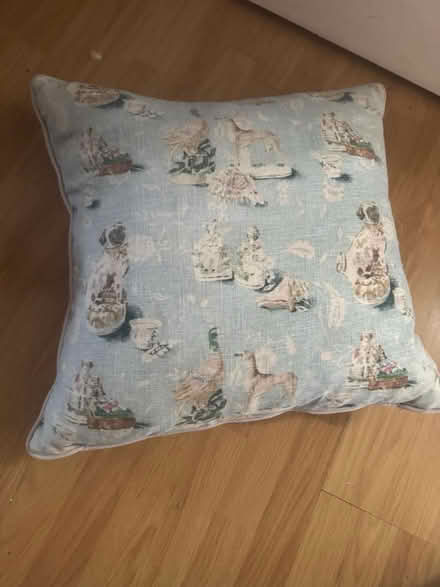 Photo of free 2 extra large feather cushions (W5) #1