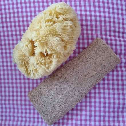 Photo of free Natural sea sponge & loofah (CB4 3) #1