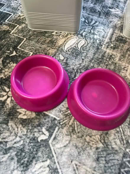 Photo of free Two round plastic pink cat bowls (RG2 Shinfield) #1