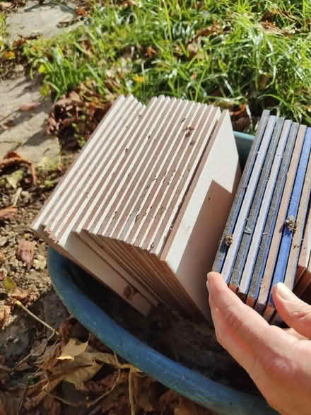 Photo of free Wall tiles - mixture (Maidenhead) #2