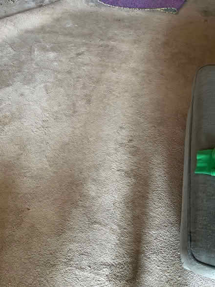 Photo of free Thick, good quality beige carpet (HX1 (town centre).) #3