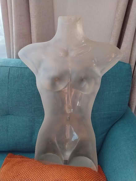 Photo of free Half torso mannequin (Walderslade Bottom ME5) #2