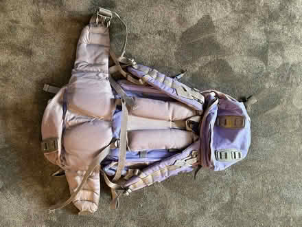 Photo of free Rucksack (Hampton TW12) #1