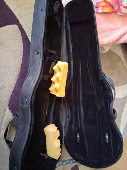 Photo of free Carry case for violin (Fishponds BS16) #2