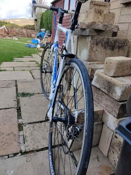 Photo of free Trek road bicycle - stripped bb thread good for parts (Gotherington GL52) #3