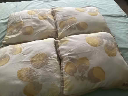 Photo of free Cushions (Tilbury RM18) #1
