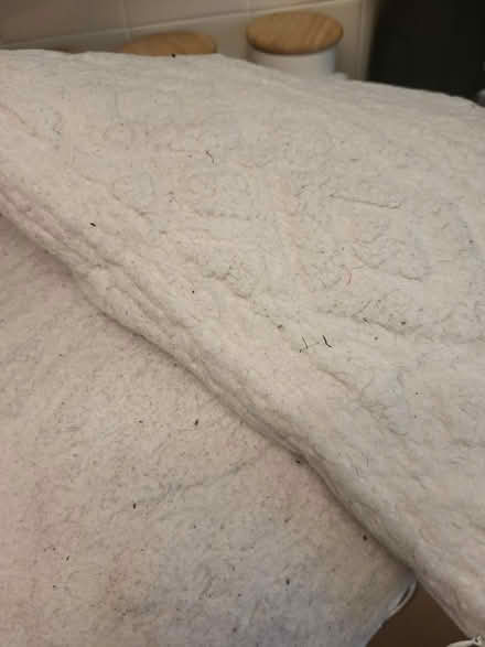 Photo of free Large cushions (Fulwood PR2) #1