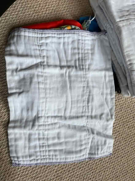 Photo of free Washable nappy inserts (RH12) #2