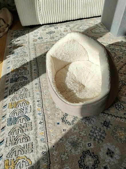 Photo of free Cat bed (PO19) #3