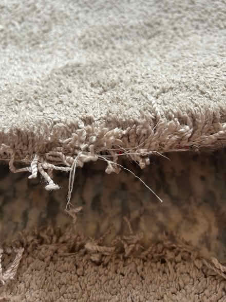 Photo of free Thick, good quality beige carpet (HX1 (town centre).) #1