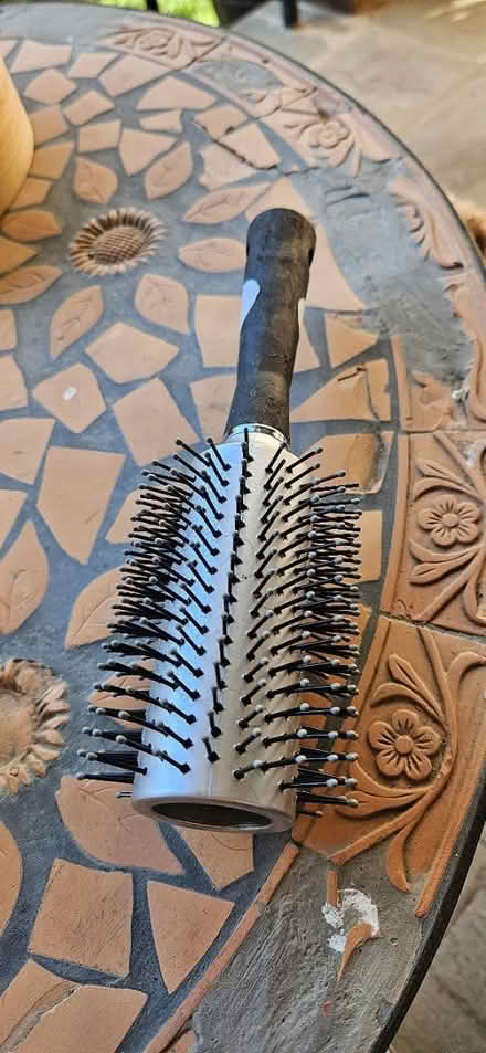 Photo of free Dog brush (Burleith) #1