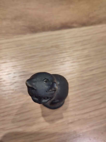 Photo of free Cat light pull (Berkhamsted HP4) #1