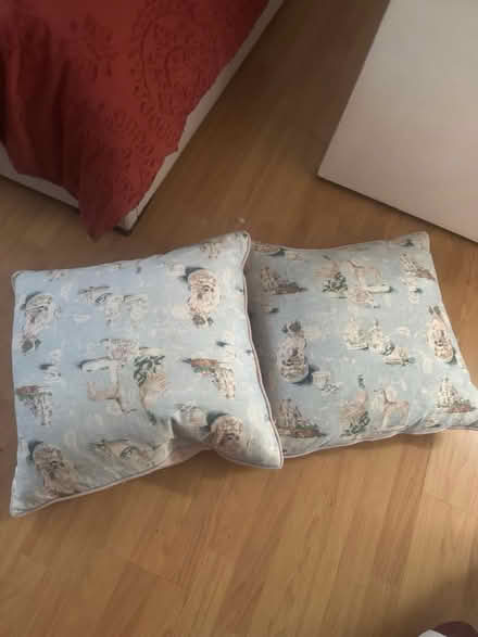 Photo of free 2 extra large feather cushions (W5) #2