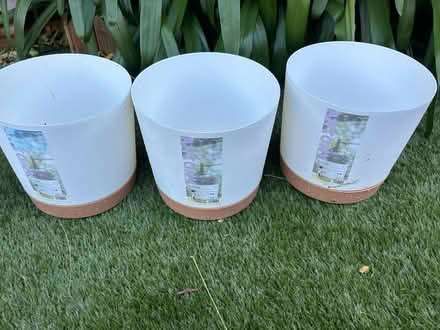 Photo of free Self watering plastic pots (SW15 Putney) #1