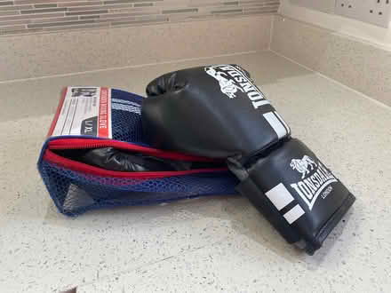 Photo of free Boxing gloves (Cheshunt EN7) #1