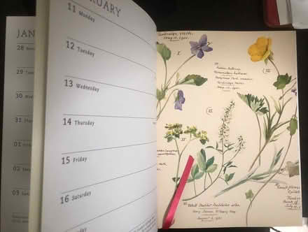Photo of free 2019 Diary - Horticultural Society (South Ruislip HA4) #2