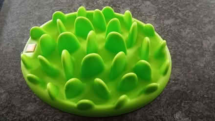 Photo of free Dog Feeder bowl (Pannal HG2) #1