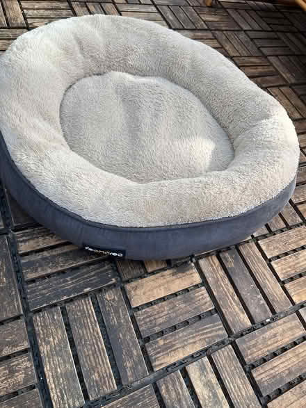 Photo of free Dog bed (Old Woking) #1