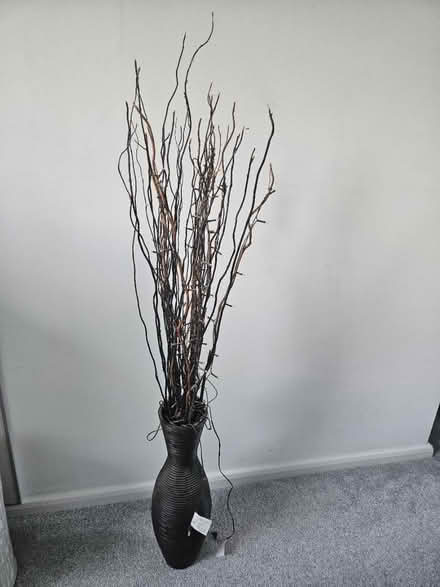 Photo of free Twigs with lights (LU6) #1