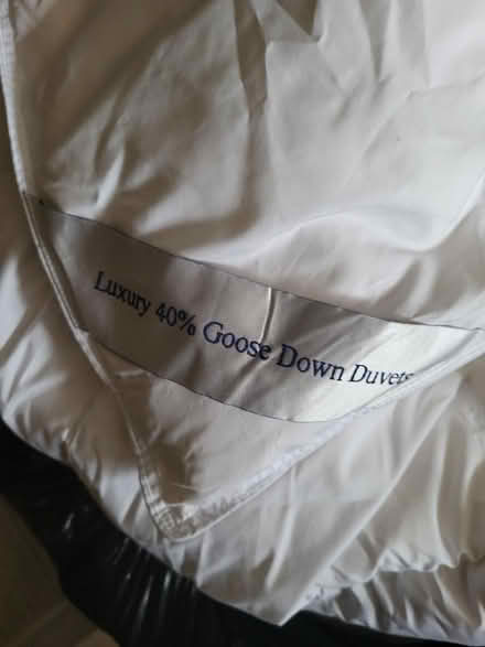 Photo of free Duvet & pillows (Fulwood PR2) #1