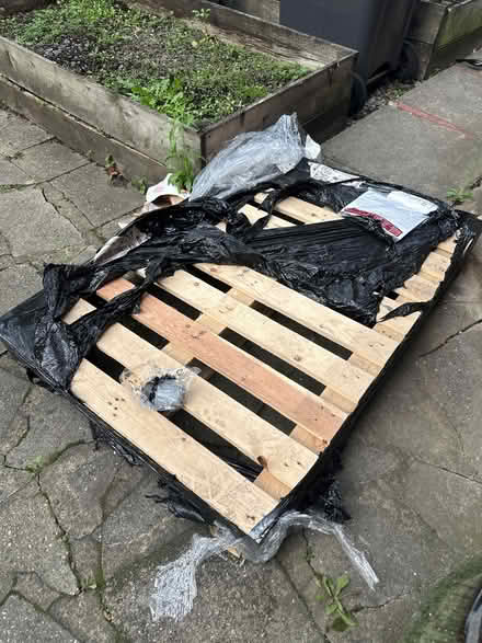 Photo of free Wooden Palette (N4) #2
